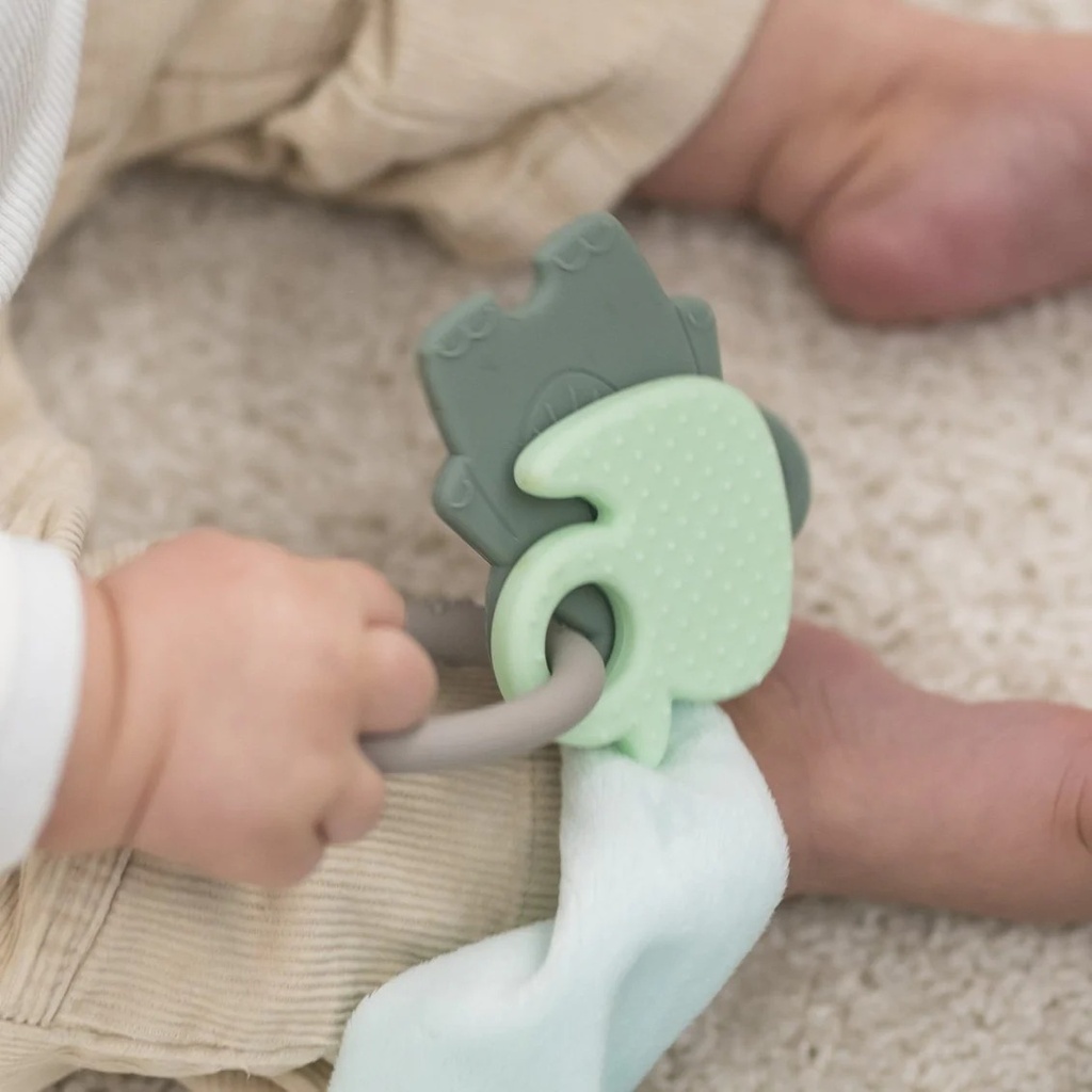 Anneau de dentition Éléphant & Canard en Silicone NATTOU