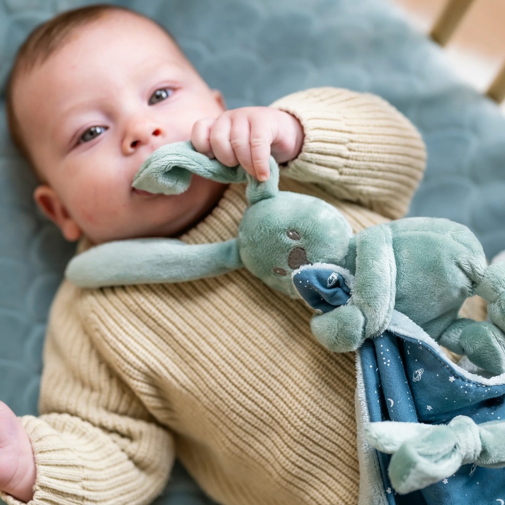 Doudou avec Plaid Lapinou NATTOU