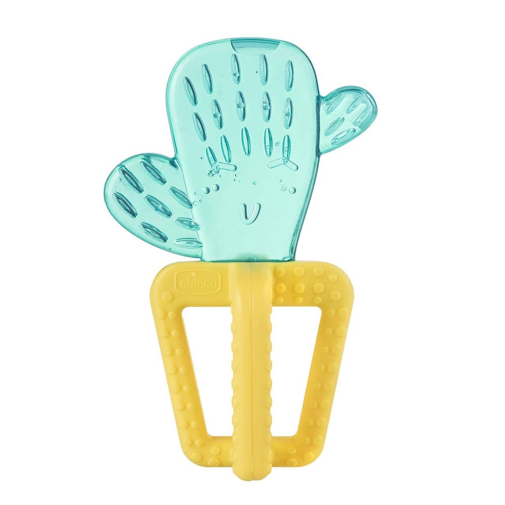 Anneau de dentition Cactus 4m+ Chicco