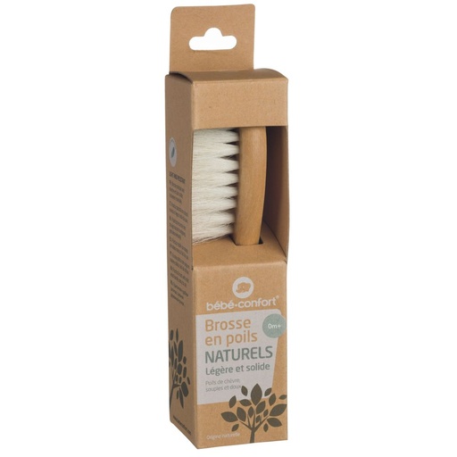 [3106204600] BROSSE EN BOIS POILS NATURELS